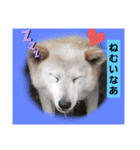 ぼくたちの生活（個別スタンプ：10）