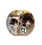 ニゴ＆ハチゴ（個別スタンプ：3）