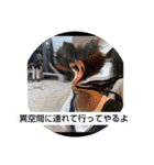 （誰得）みんなにありがとうスタンプ（個別スタンプ：2）