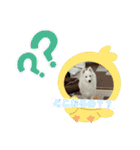 ハチャメチャもこ（個別スタンプ：1）