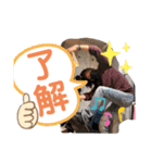 カバちゃんスタンプ（個別スタンプ：2）