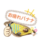 カバちゃんスタンプ（個別スタンプ：4）