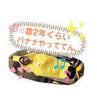 カバちゃんスタンプ（個別スタンプ：28）