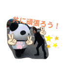 カバちゃんスタンプ（個別スタンプ：30）