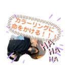カバちゃんスタンプ（個別スタンプ：36）
