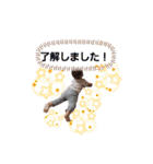 おうちゃん1歳（個別スタンプ：13）
