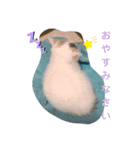 ネコの『ななこ』(子猫編)良く使う言葉（個別スタンプ：2）