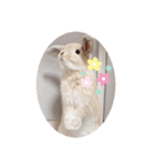 うさぎのこむぎこ（個別スタンプ：7）