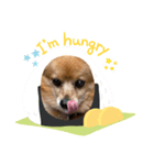 ぴーすのにちじょう（個別スタンプ：1）