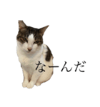 ぽに山ポニヲ（個別スタンプ：10）