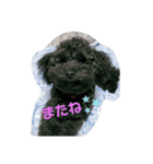 黒もじゃ✨ビンス（個別スタンプ：6）