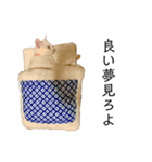 おっぽちゃんスタンプ（個別スタンプ：13）