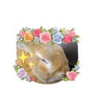 AO's Rabbits（個別スタンプ：3）