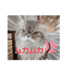 桃次郎シャチョサン 日常会話編（個別スタンプ：3）
