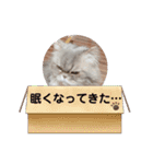 桃次郎シャチョサン 日常会話編（個別スタンプ：20）