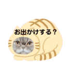 桃次郎シャチョサン 日常会話編（個別スタンプ：30）