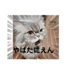 桃次郎シャチョサン 日常会話編（個別スタンプ：31）