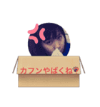 加藤家と岸田（個別スタンプ：1）