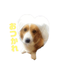 新幹線ぼーいそら（個別スタンプ：2）