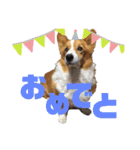 新幹線ぼーいそら（個別スタンプ：5）