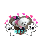 LUNA＆SEAちゃんひと言スタンプ（個別スタンプ：4）