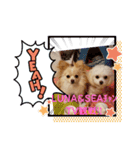 LUNA＆SEAちゃんひと言スタンプ（個別スタンプ：6）