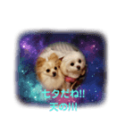 LUNA＆SEAちゃんひと言スタンプ（個別スタンプ：7）