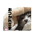 プリティーちゃんもも（個別スタンプ：7）