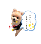 Dairy life of IO and YUKICHI pt.2（個別スタンプ：14）