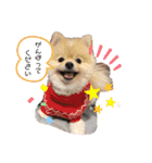 Dairy life of IO and YUKICHI pt.2（個別スタンプ：15）