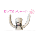 ニャガ田さんスタンプ3（個別スタンプ：2）