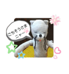 ニャガ田さんスタンプ3（個別スタンプ：9）
