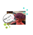 ニャガ田さんスタンプ3（個別スタンプ：12）