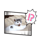おもしろ こてつ（個別スタンプ：1）