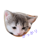おもしろ こてつ（個別スタンプ：11）
