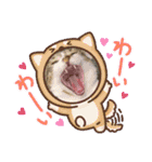 愛猫はなちゃん 2（個別スタンプ：6）