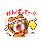 愛猫はなちゃん 2（個別スタンプ：16）