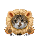 愛猫はなちゃん 2（個別スタンプ：19）