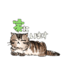 ばじょすたんぷ（個別スタンプ：2）