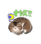 ばじょすたんぷ（個別スタンプ：3）
