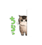 ばじょすたんぷ（個別スタンプ：7）