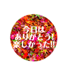 紅葉Japaneseスタンプ♡（個別スタンプ：6）