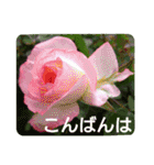 花いっぱいで大人可愛い日常用語②（個別スタンプ：3）