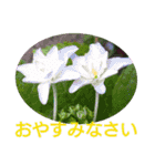 花いっぱいで大人可愛い日常用語②（個別スタンプ：4）