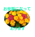 花いっぱいで大人可愛い日常用語②（個別スタンプ：7）
