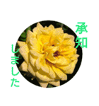 花いっぱいで大人可愛い日常用語②（個別スタンプ：8）