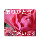 花いっぱいで大人可愛い日常用語②（個別スタンプ：9）