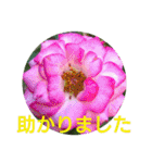 花いっぱいで大人可愛い日常用語②（個別スタンプ：14）