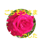 花いっぱいで大人可愛い日常用語②（個別スタンプ：15）