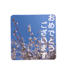 花いっぱいで大人可愛い日常用語②（個別スタンプ：16）